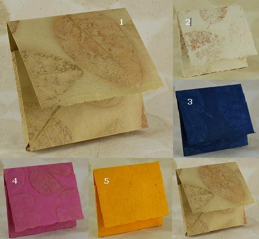 Indipaper - cd cover with leaf imprint (cd cover with leaf imprint)